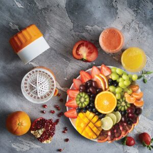 Borner Juicer - Image 3