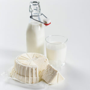 Borner Cheesemaker - Image 3